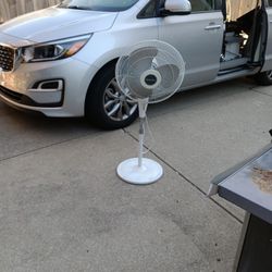 Fan