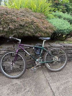 Trek Bike