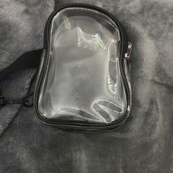 Clear Mini Bag