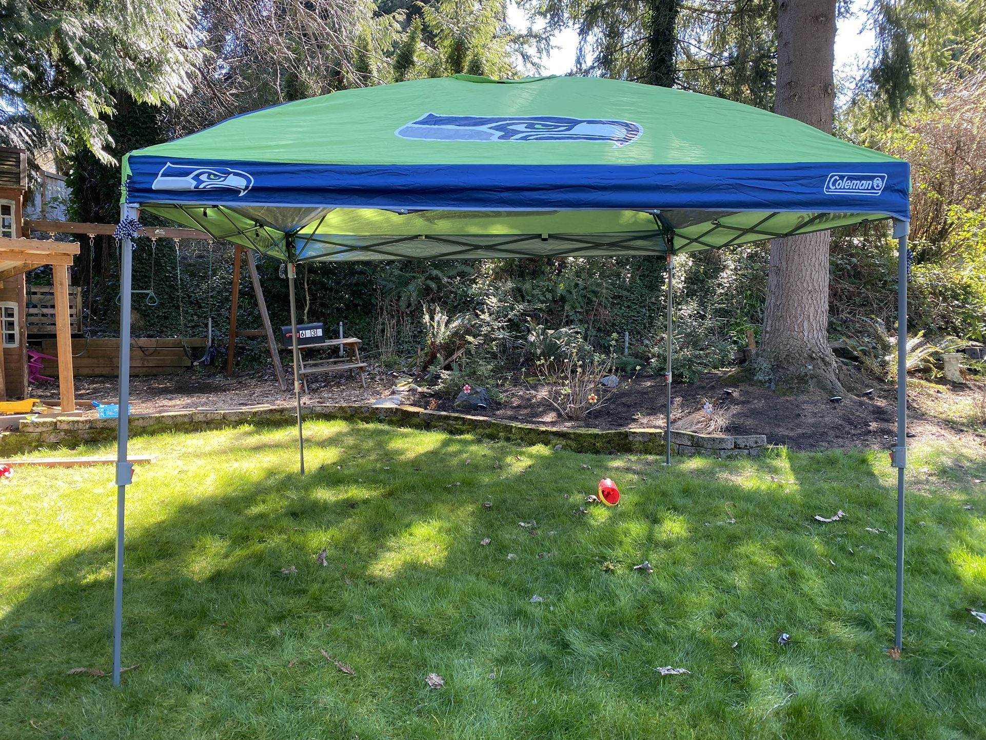 Seahawks 10x10 Canopy