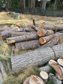 Firewood