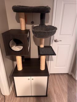 Used cat tree