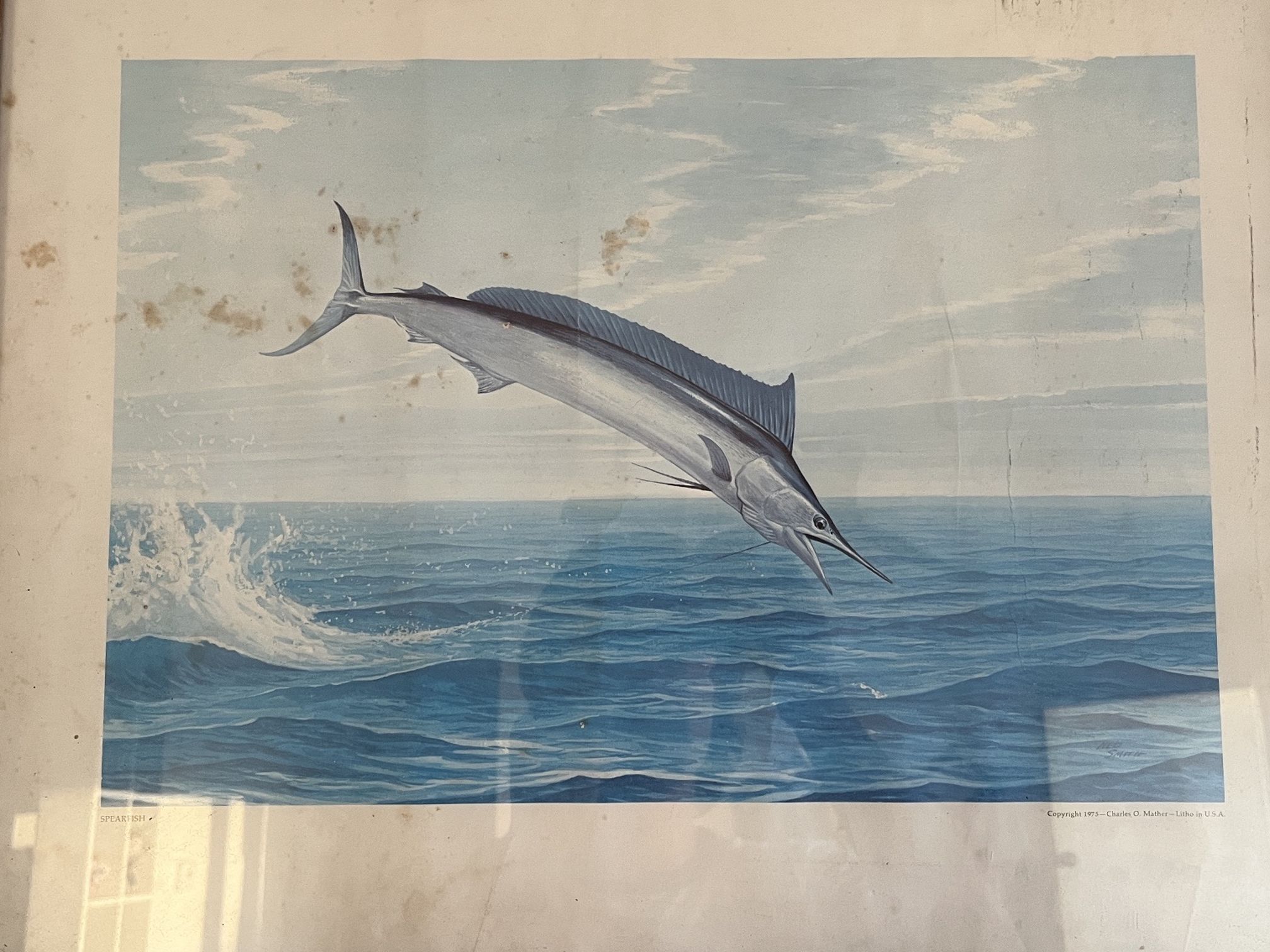 Framed Fish Painting Print