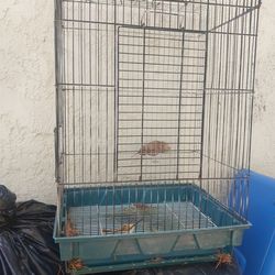 SmallBird cage