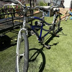 Diamondback Wildwood Tandem Bike 