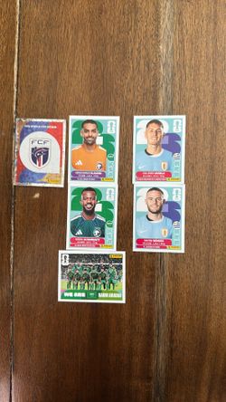 Panini duplicate stickers ( Group H )