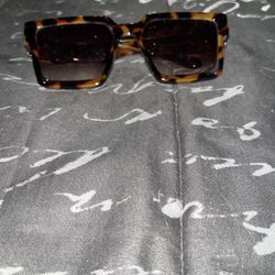 Women’s Cheetah Print Brown/Combo Sunglasses 