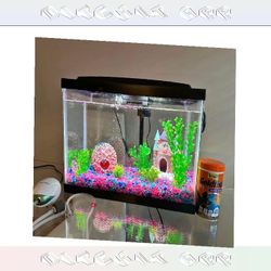 other wonder Ready-Made Aquarium Kit - Explore Underwater Beauty
