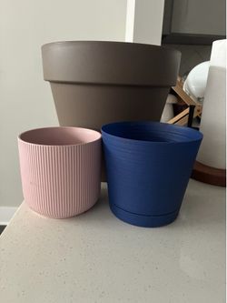 3 Pots- All for $10