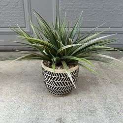 Staging fake plants