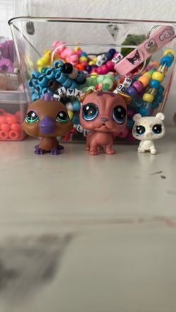 Pack of 3 Lps