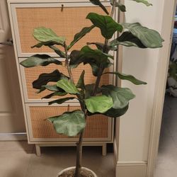 Artificial Tree Like New