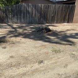 Stump Grinding