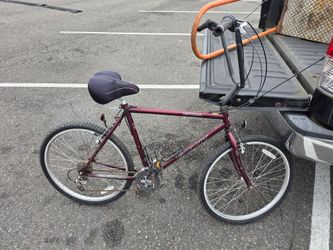 Mountain Bike