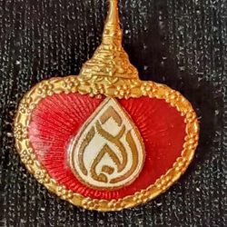 Cremation Pin
