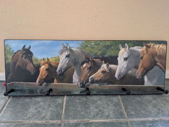 Horse coat hanger