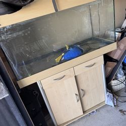 Fish Tank And Accessories