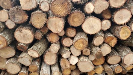 Mesquite,oak and Pecan