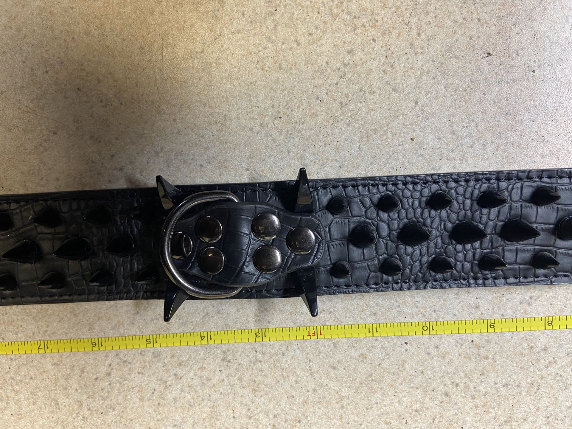 Spiked Dog Collar