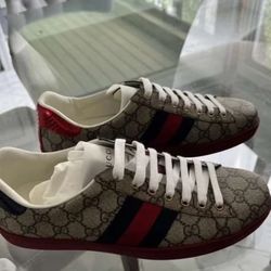Gucci Shoes 