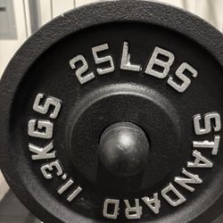 25lb Weight Plates