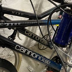 Cannondale Mtn Bike