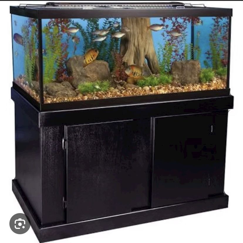 Fish Aquarium (used)