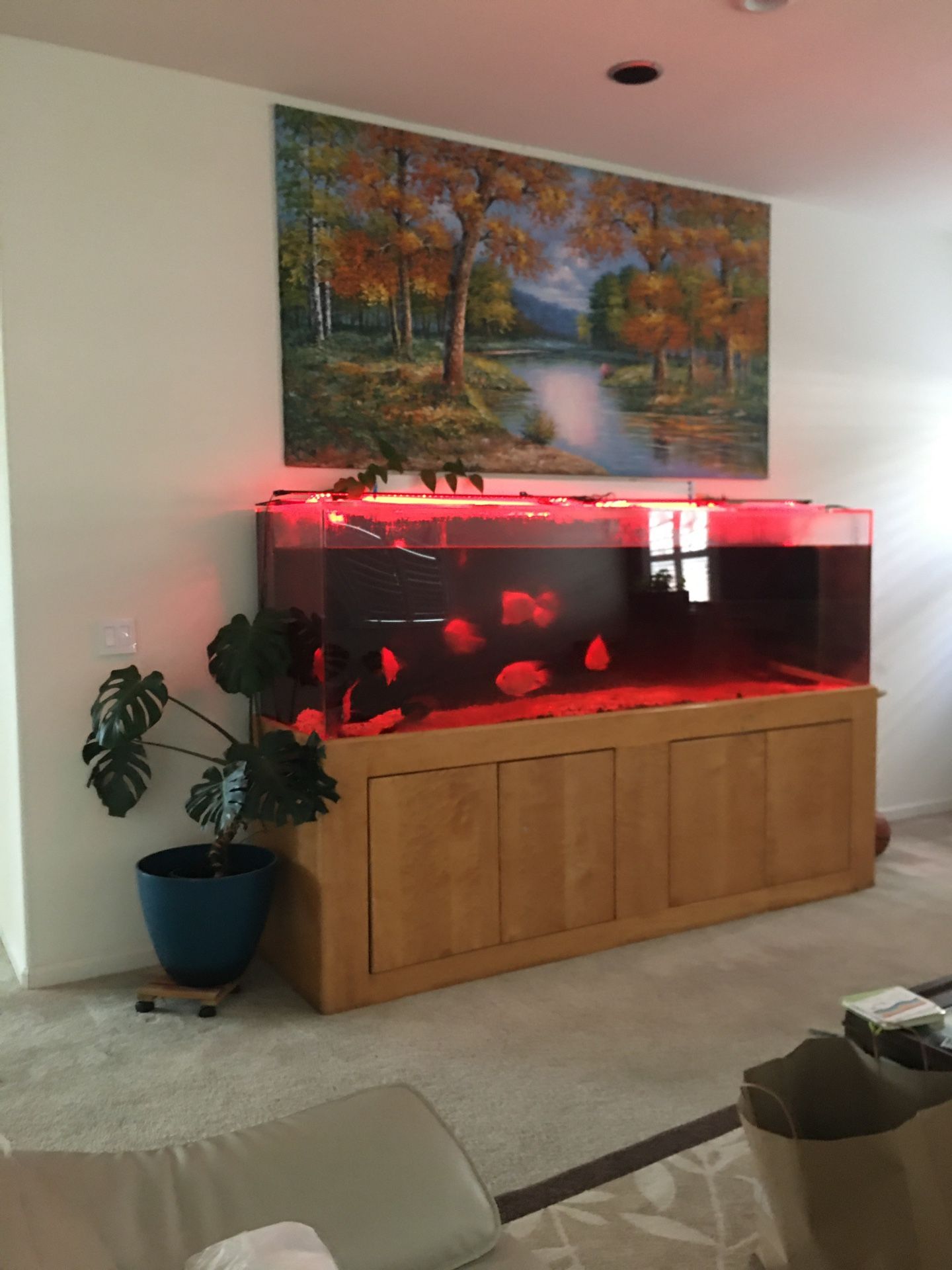 Fish Tank