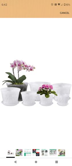 11 Orchid Pots with 8 Trays – Clear Plastic Slotted Pots