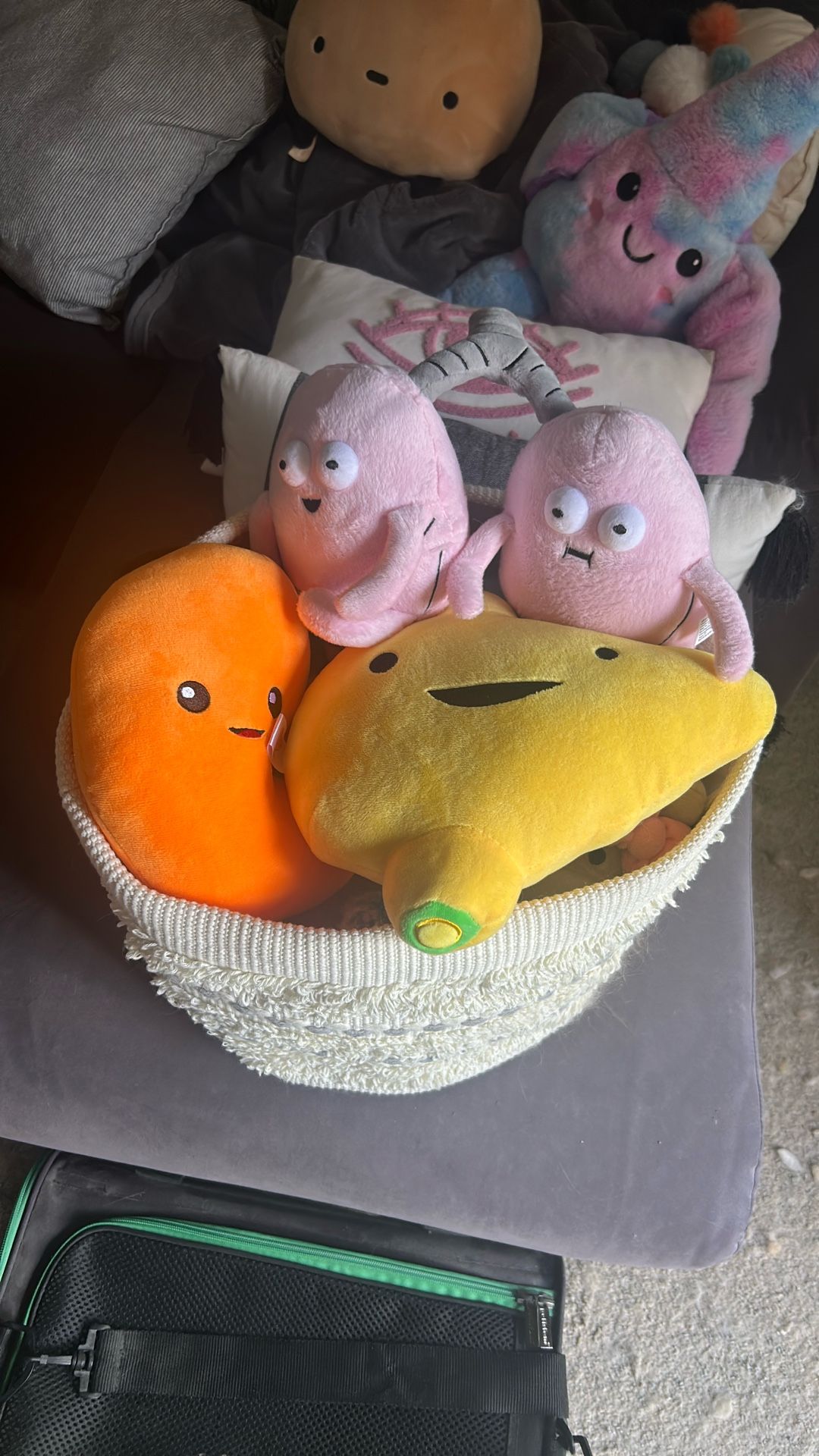 Organ plushies