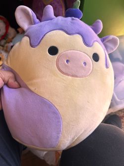 For sale 9 Squishmallows, for sale