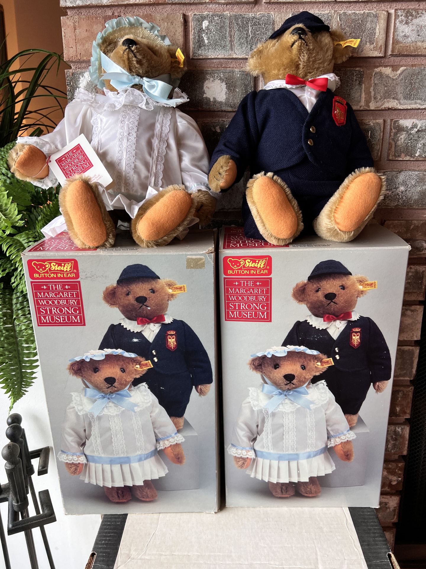 Steiff Museum Bear Set - Boxed- Button in Ear
