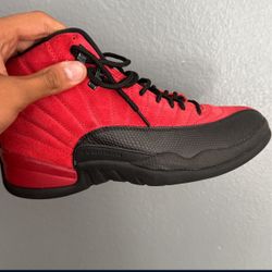 jordan 11 reverse flu game