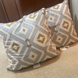 Z Gallery Pillows