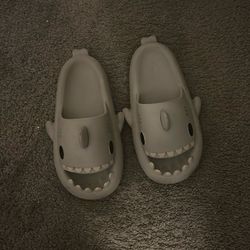 shark slides