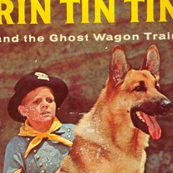 Vintage Rin Tin Tin Hardback