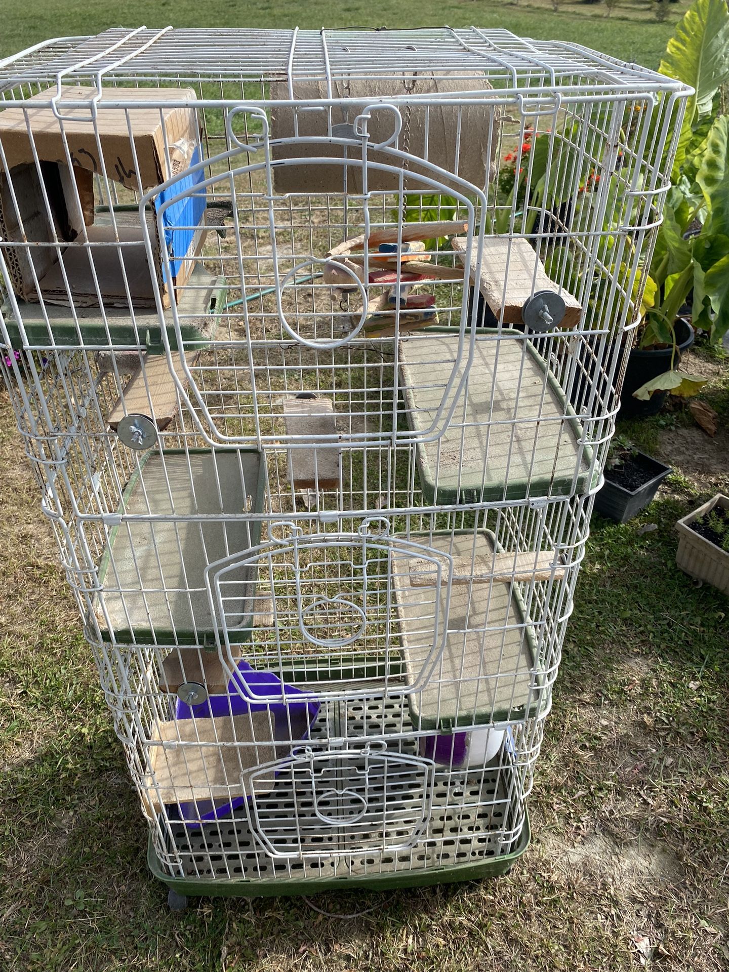 Chinchilla Cage