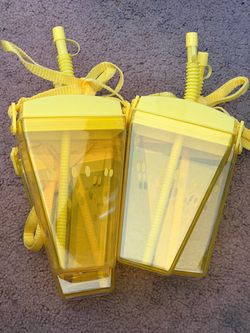 Fruit Water Bottles
