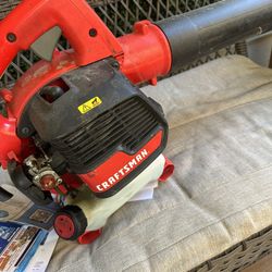 Gas Leaf Blower 120