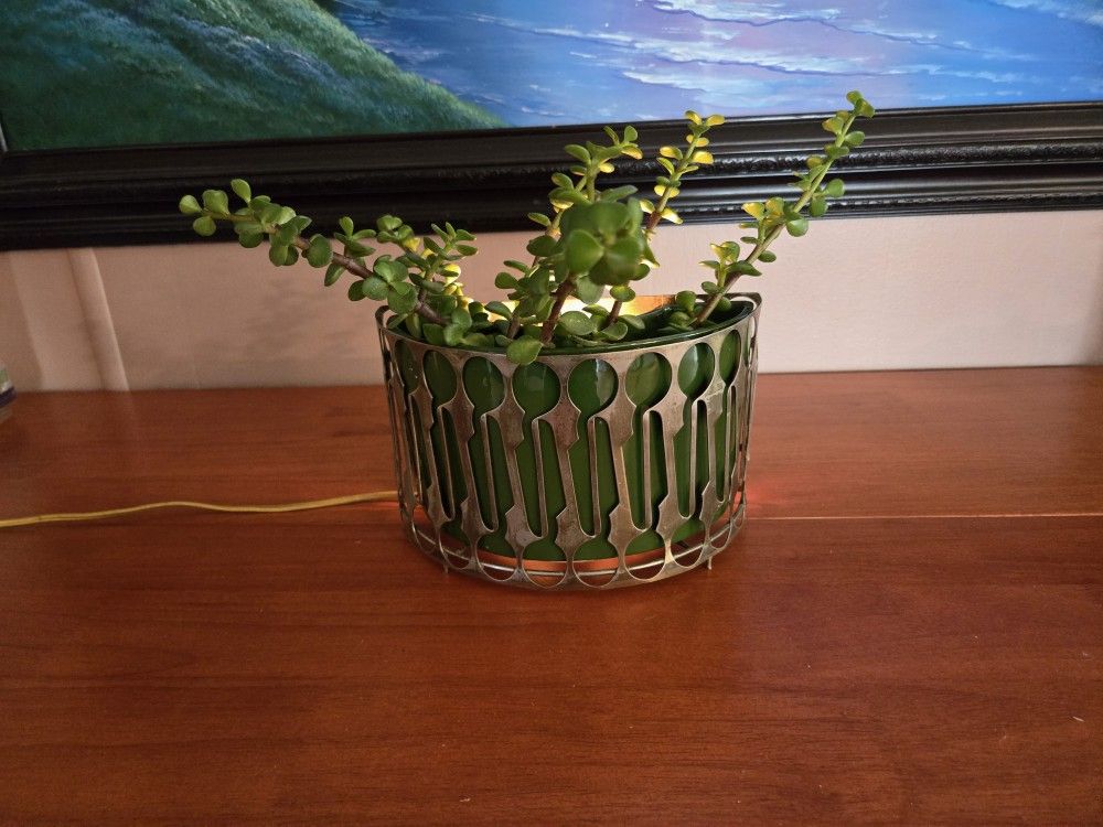 1950 Planter Lights Up