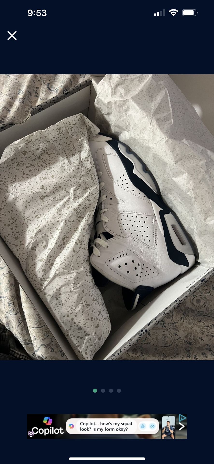 Air Jordan 6