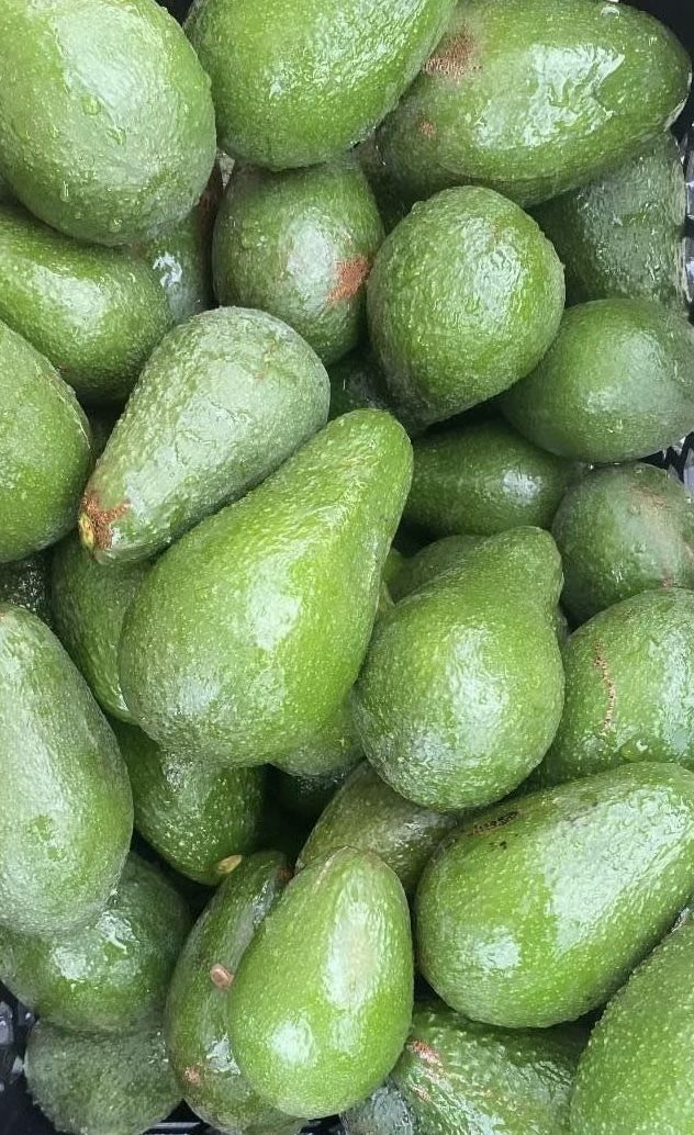 Avocados!