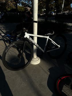 Throne white chad 29er