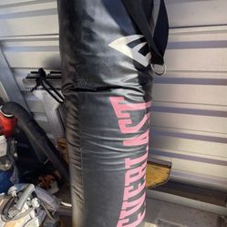 Everlast Punching Bag And Stand