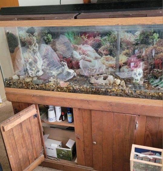 50 Gallon  Fish Tank