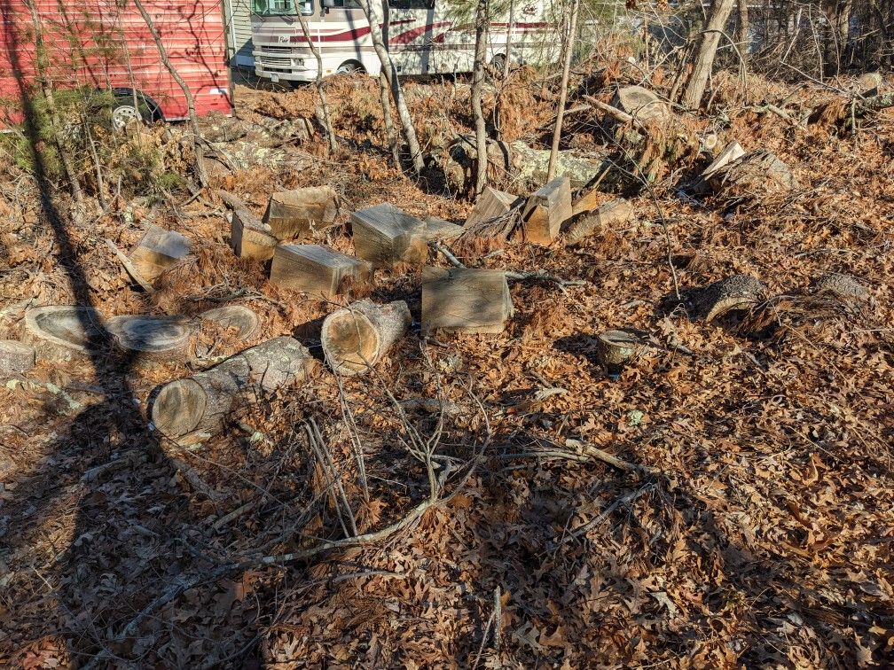 Free Pine Mostly Cut Up So One Person Could Lift