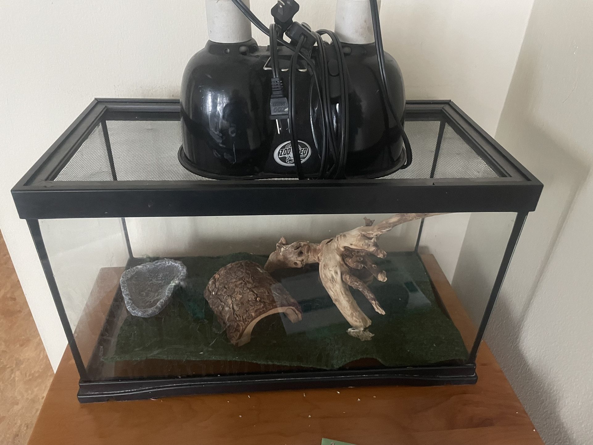 Iguana tank