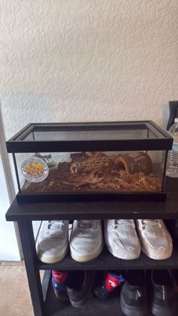 Reptile tank