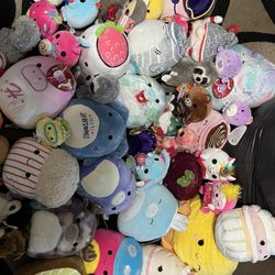 Variety Squishmallows *NEW*