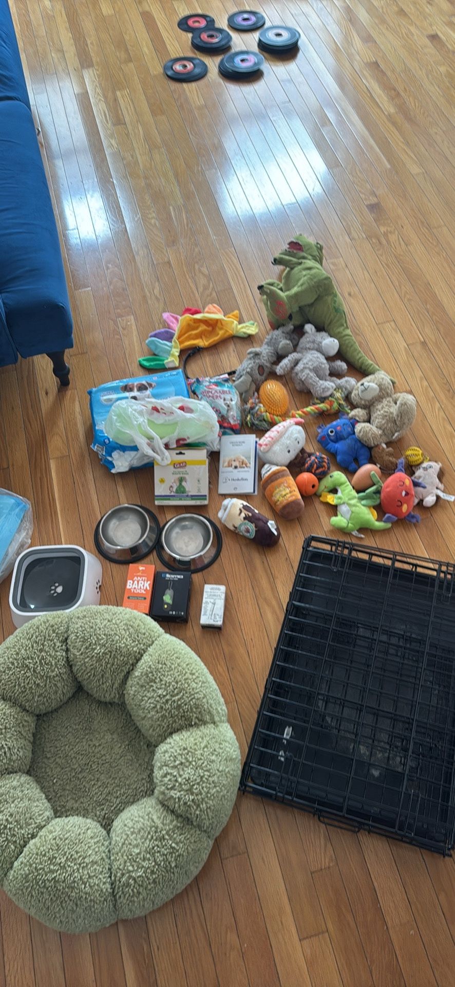 DOG TOYS, AUTO TIMED PET FEEDER, PEE PADS, DIAPERS, DOG BOWLS, DOG ANTI-BARK TOOL OVER $300 VALUE